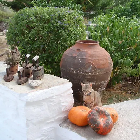 Penzion La Maison Amande