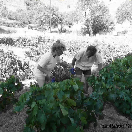 Maison d'hôtes La Maison Amande Spathi (Kea)