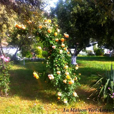 Affittacamere La Maison Amande Spathi (Kea)