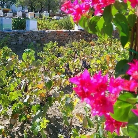 La Maison Amande 4* Spathi (Kea)