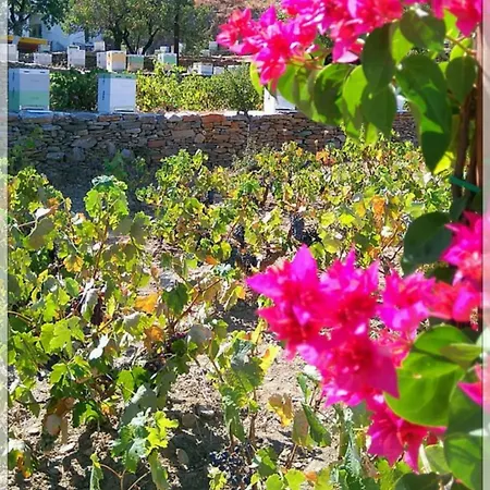 La Maison Amande Affittacamere 4*