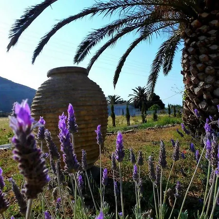 Guest house La Maison Amande Spathi (Kea)