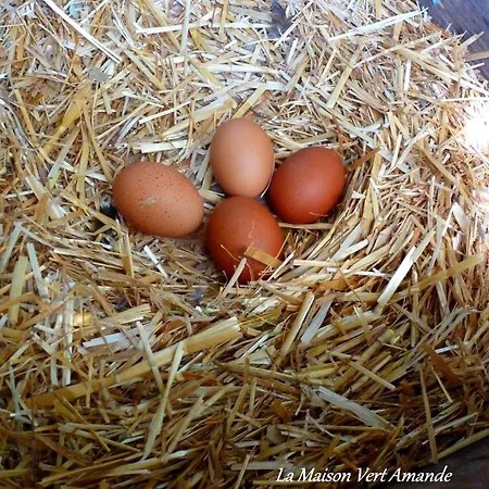 Affittacamere La Maison Amande Spathi (Kea)