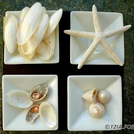 Affittacamere La Maison Amande 4*