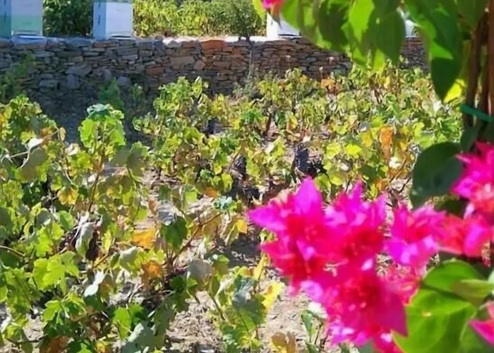 La Maison Amande 4* Spathi (Kea)