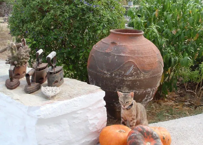 Pensión La Maison Amande