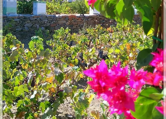 La Maison Amande Pensión 4*