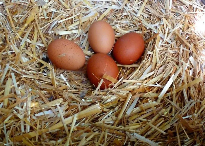 Pensión La Maison Amande Spathi (Kea)